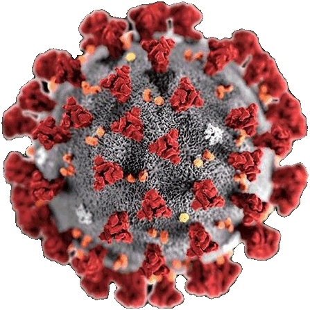 SARS Coronavirus